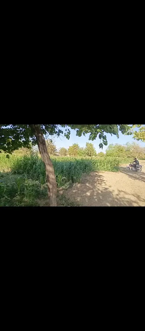 Residential Land 1500m² – photo 3