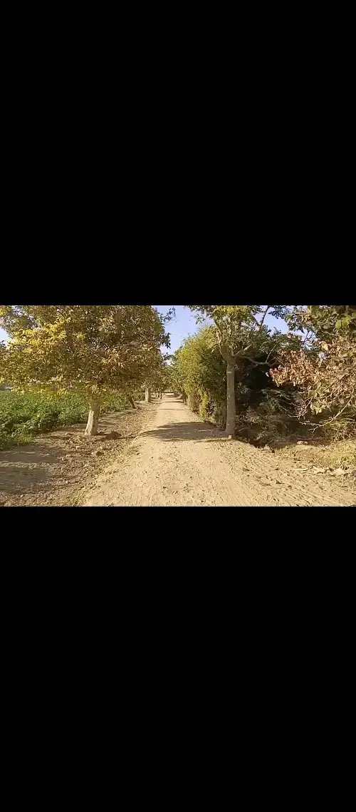 Residential Land 1500m² – photo 4