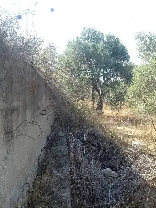 Commercial Land 2000m² – photo 4