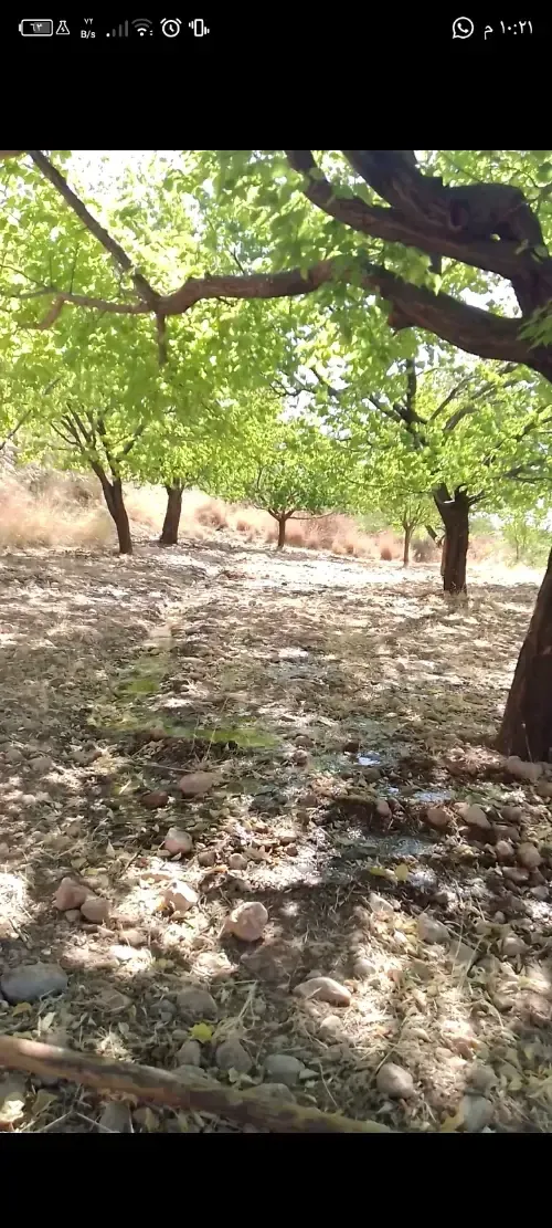 أرض سكنية 2400 م²
