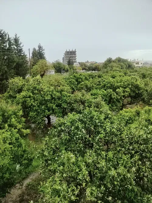 مزرعة سكنية  – photo 3
