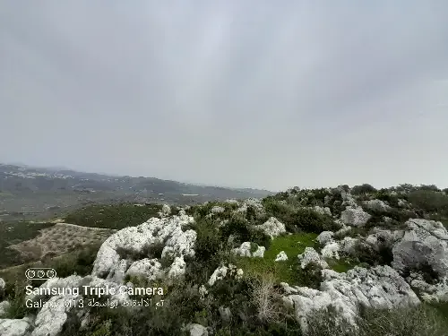 أرض سكنية 2000 م² – photo 3