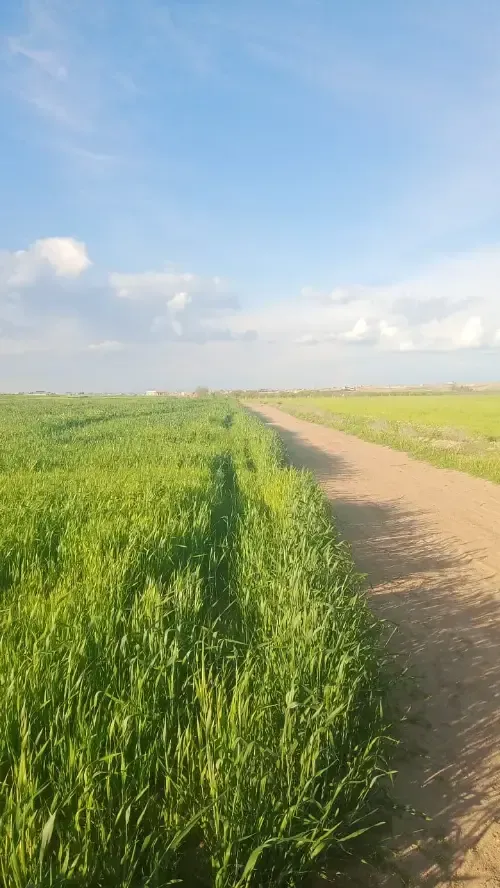 مزرعة سكنية