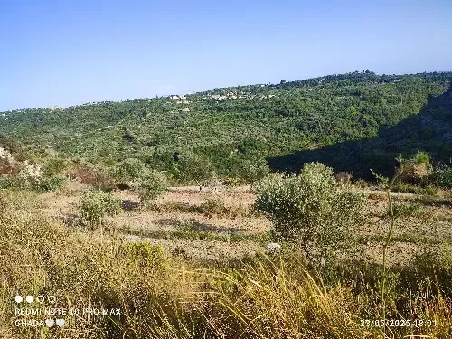 Residential Land 2400m² – photo 3
