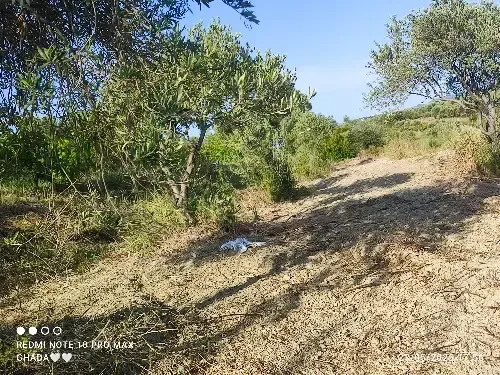 Residential Land 2400m² – photo 4