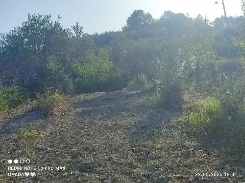 Residential Land 2400m² – photo 7