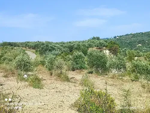 Residential Land 2400m² – photo 8