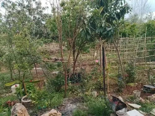 Residential Land 500m² – photo 4