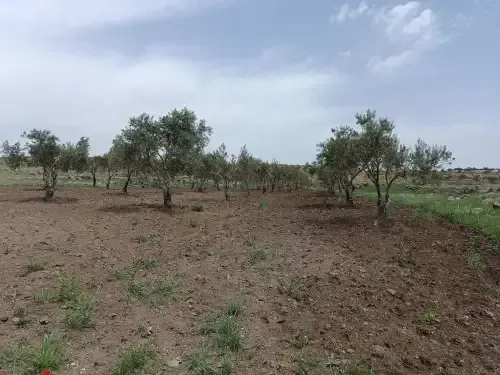 أرض سكنية 9000 م² – photo 2