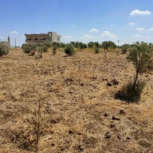 أرض سكنية 0 م² – photo 3