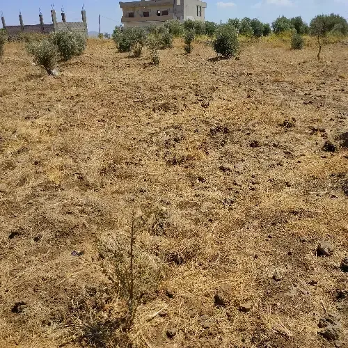 أرض سكنية 0 م² – photo 5