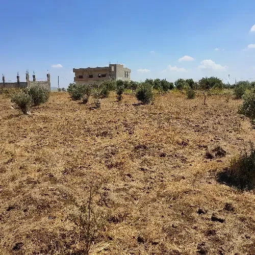 أرض سكنية 0 م² – photo 6