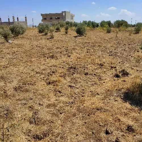 أرض سكنية 0 م² – photo 7