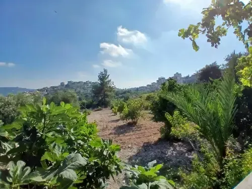 أرض سكنية 4500 م² – photo 3