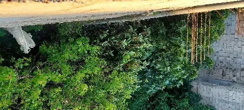 فيلا سكنية  – photo 2