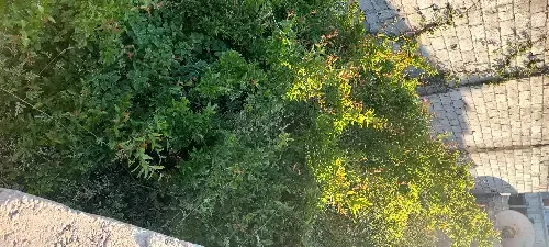فيلا سكنية  – photo 5