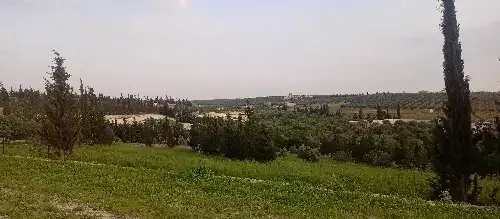 أرض سكنية 1000 م²
