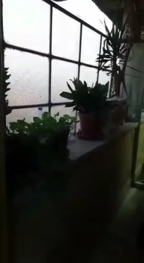 3BR Residential Apartment – photo 2