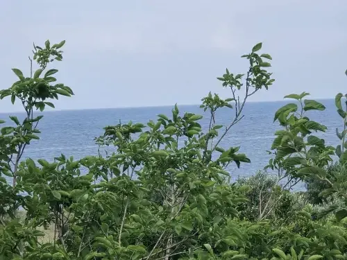Residential Land 3500m² – photo 7
