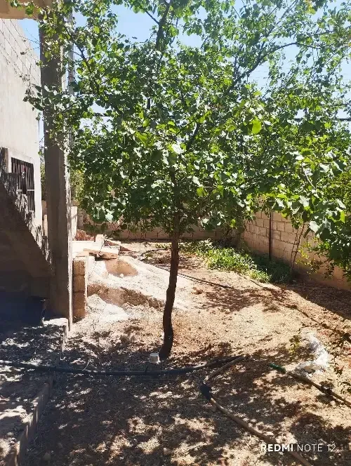 1BR Residential Villa – photo 2