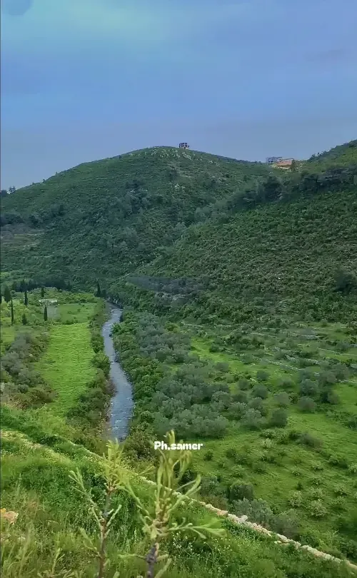 أرض سكنية 11000 م² – photo 2