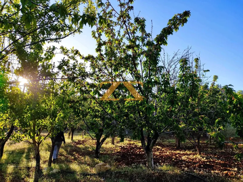 0BR Residential Farm – photo 2