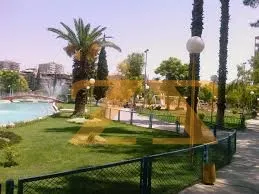 1BR Residential Apartment – photo 2