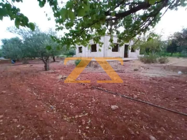 0BR Residential Farm – photo 4