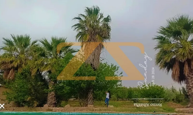 Residential Land 0m² – photo 3