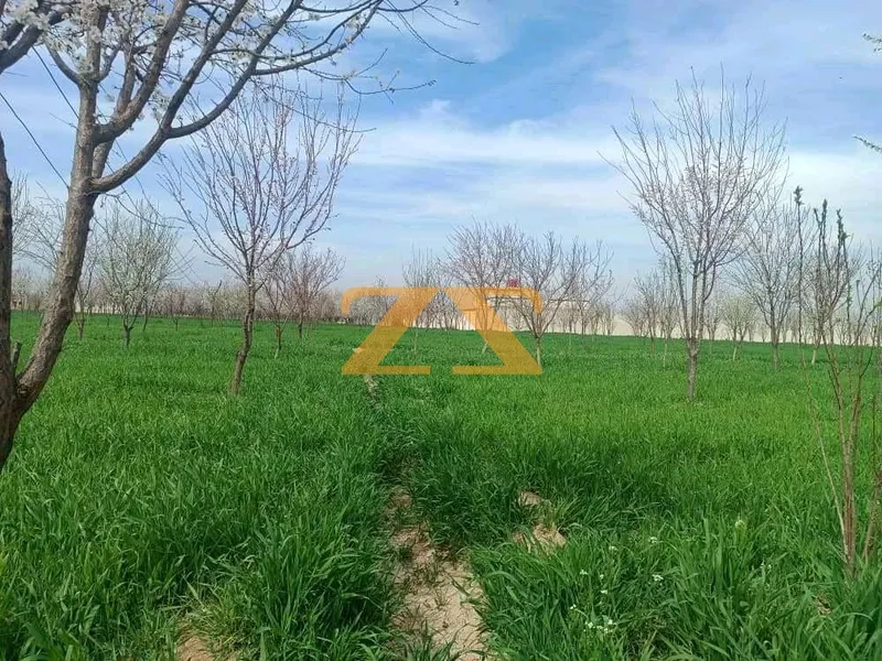 مزرعة سكنية  – photo 2