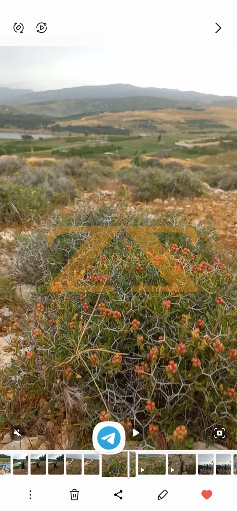 Residential Land 0m² – photo 10