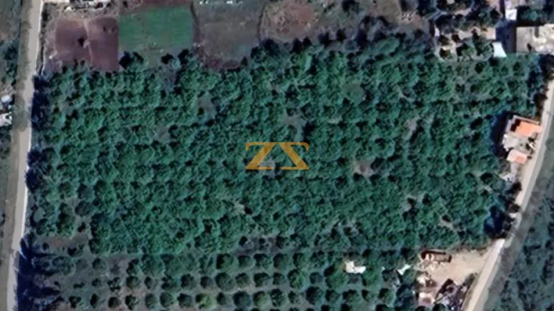 2BR Residential Farm – photo 2