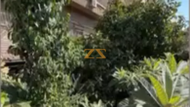 عقار تجاري تجاري 0 م² – photo 4