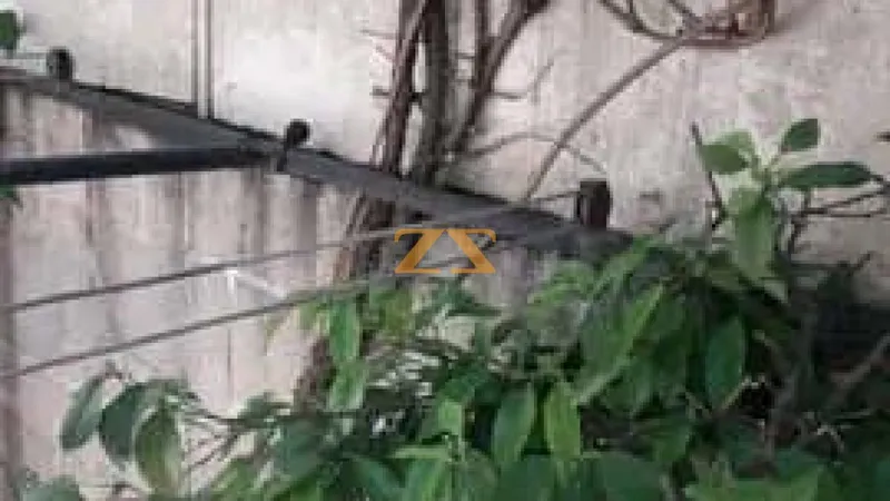 0BR Residential Apartment – photo 2