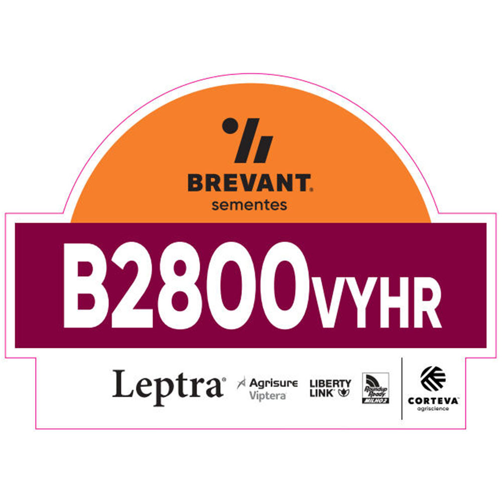 Placa Mini Expositor B2800VYHR - REF.:BT85100-000