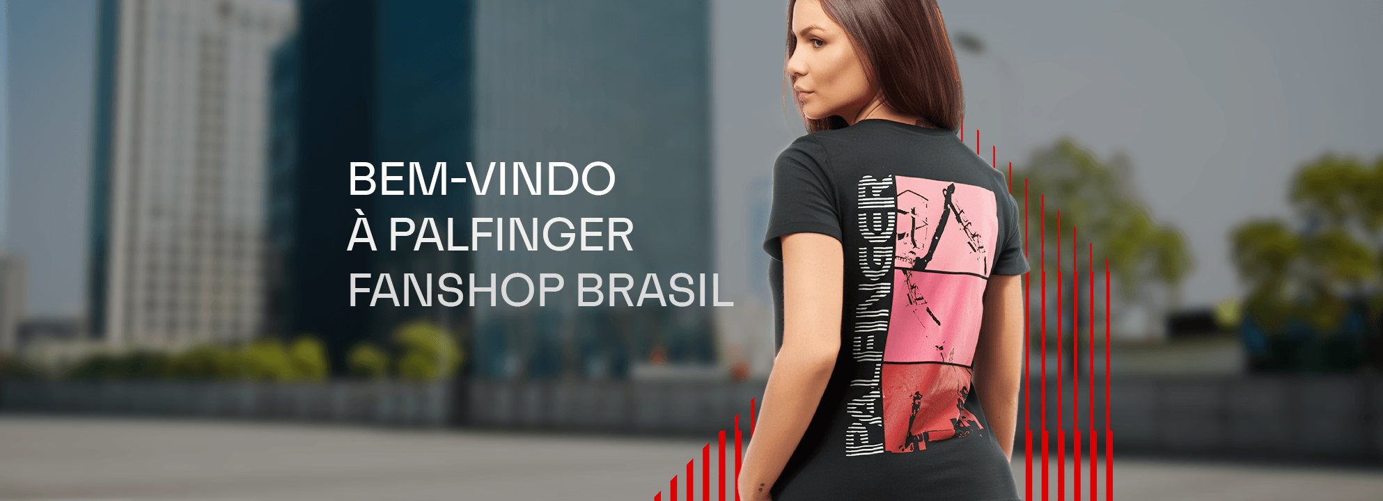 imagem do banner hero