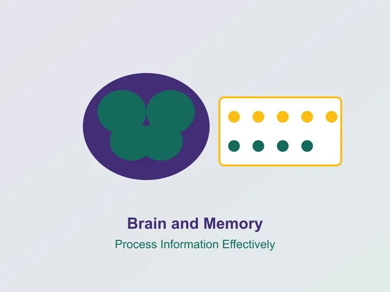 How the Brain Processes Information Into Your Memory