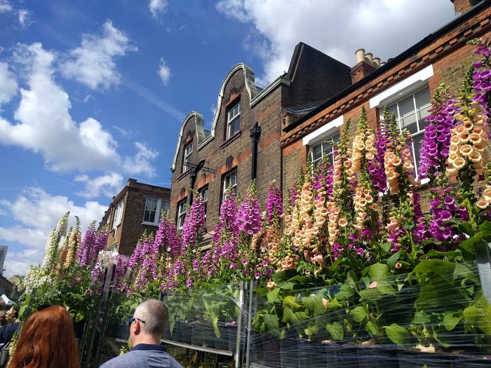 Columbia Road Flower Market