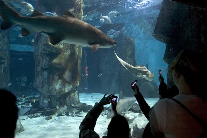 Sea Life Londres