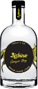 Bisbino Gin Ginger Dry