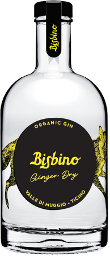 bisbino gin ginger dry