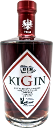 Kostenzer KiGin