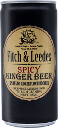 Fitch & Leedes Spice Ginger Beer