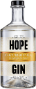 Hope African Botanical Gin