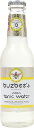 Buzbee's Premium Indian Tonic Water