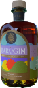 BaròGin