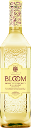 BLOOM Lemon & Elderflower Gin Liqueur