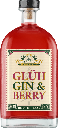 V-SINNE Glüh-Gin