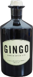 gingo power spyce gin