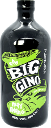 Big Gino May Chang